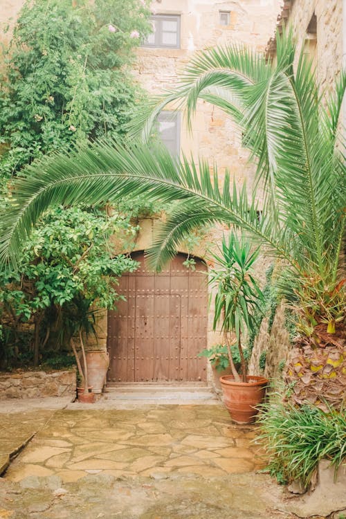 Foto d'estoc gratuïta de casa antiga, entrada, plantes