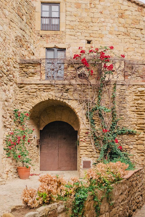 Photo of Flowers Near a Brown Door