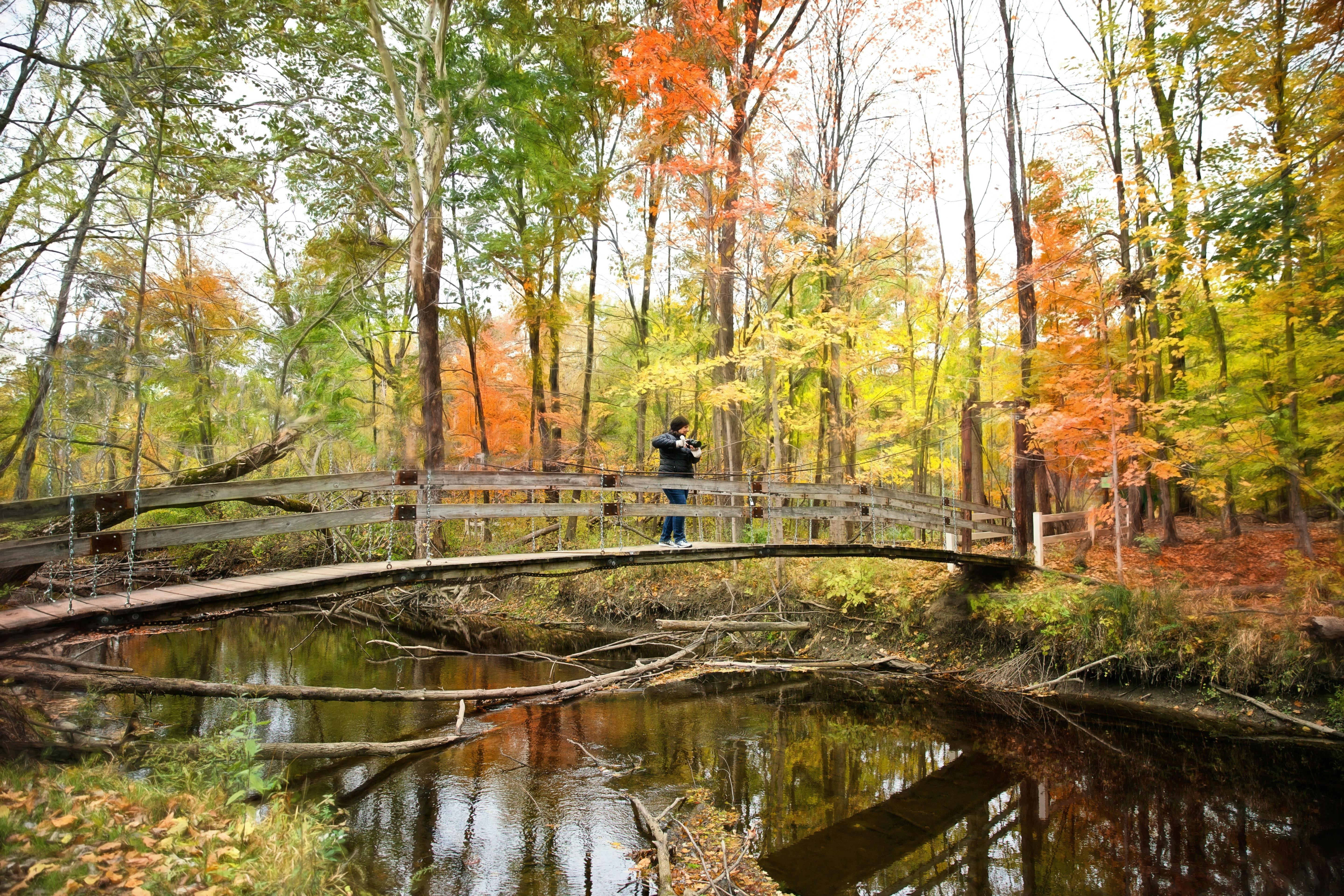 DuPage Forest Preserve executive director leaving for city manager job in Florida — Photo by Jill Wellington on Pexels