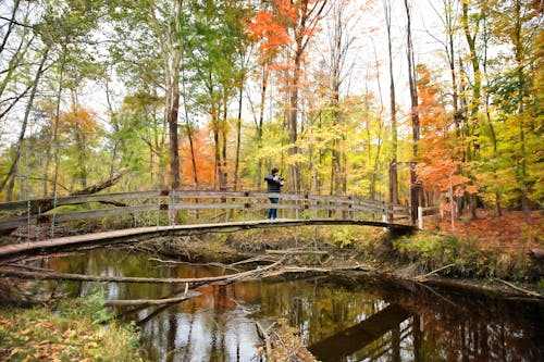 Photograph of a Woman on a Wooden Bridge During Autumn