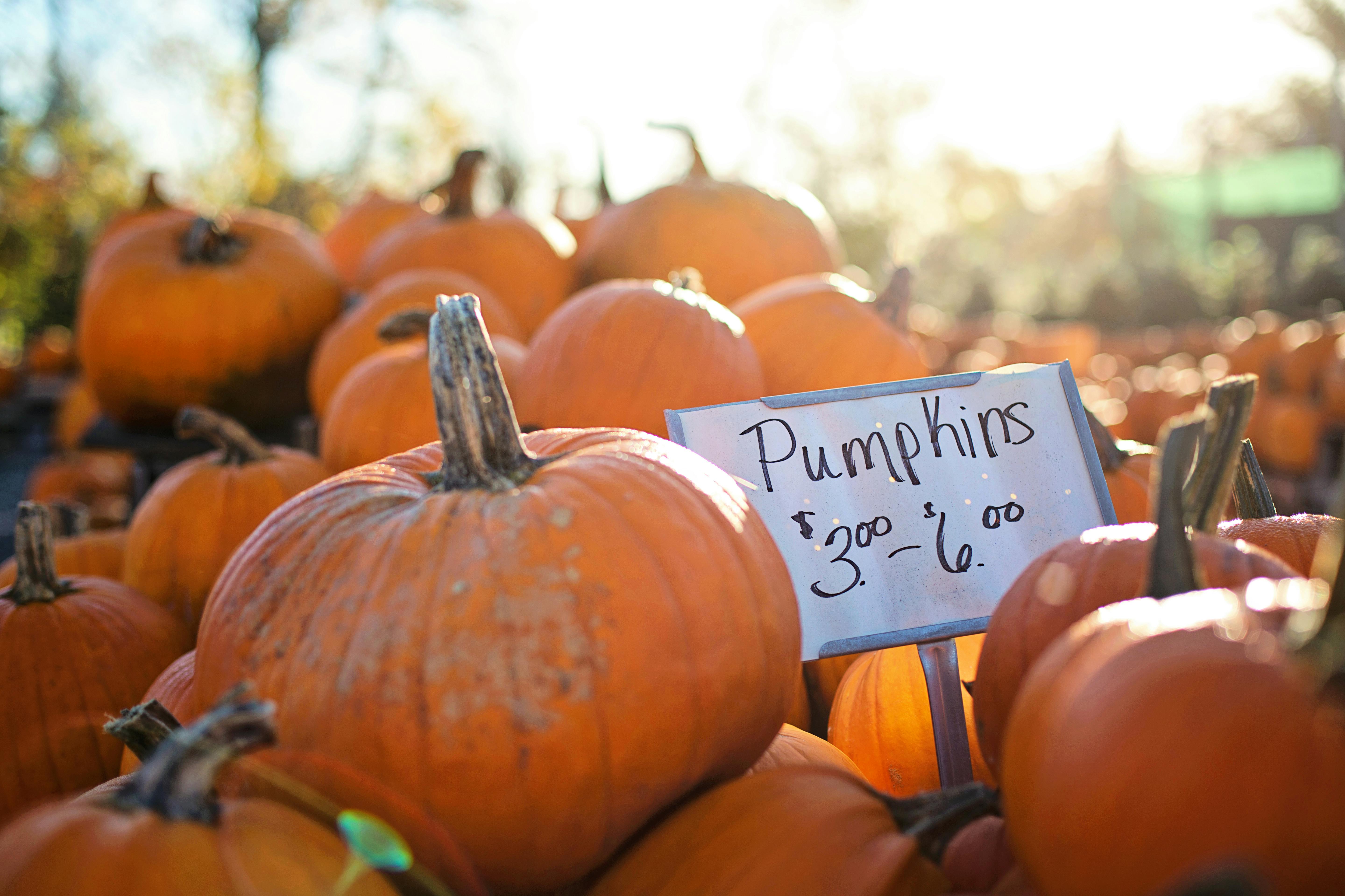Fresh pumpkins for sale displayed with a price sign, capturing the essence of fall at an outdoor market.