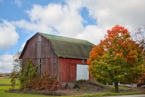 Photograph of a Barn Beside a Tree
