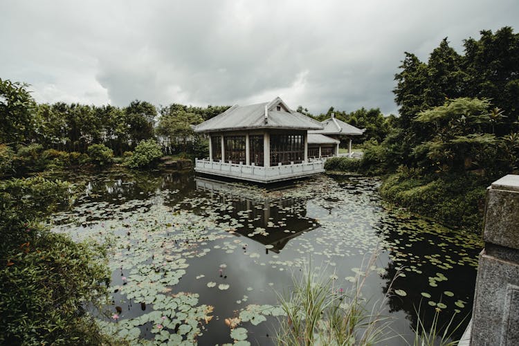 Chinese House Facades Near Pond With Water Lilies