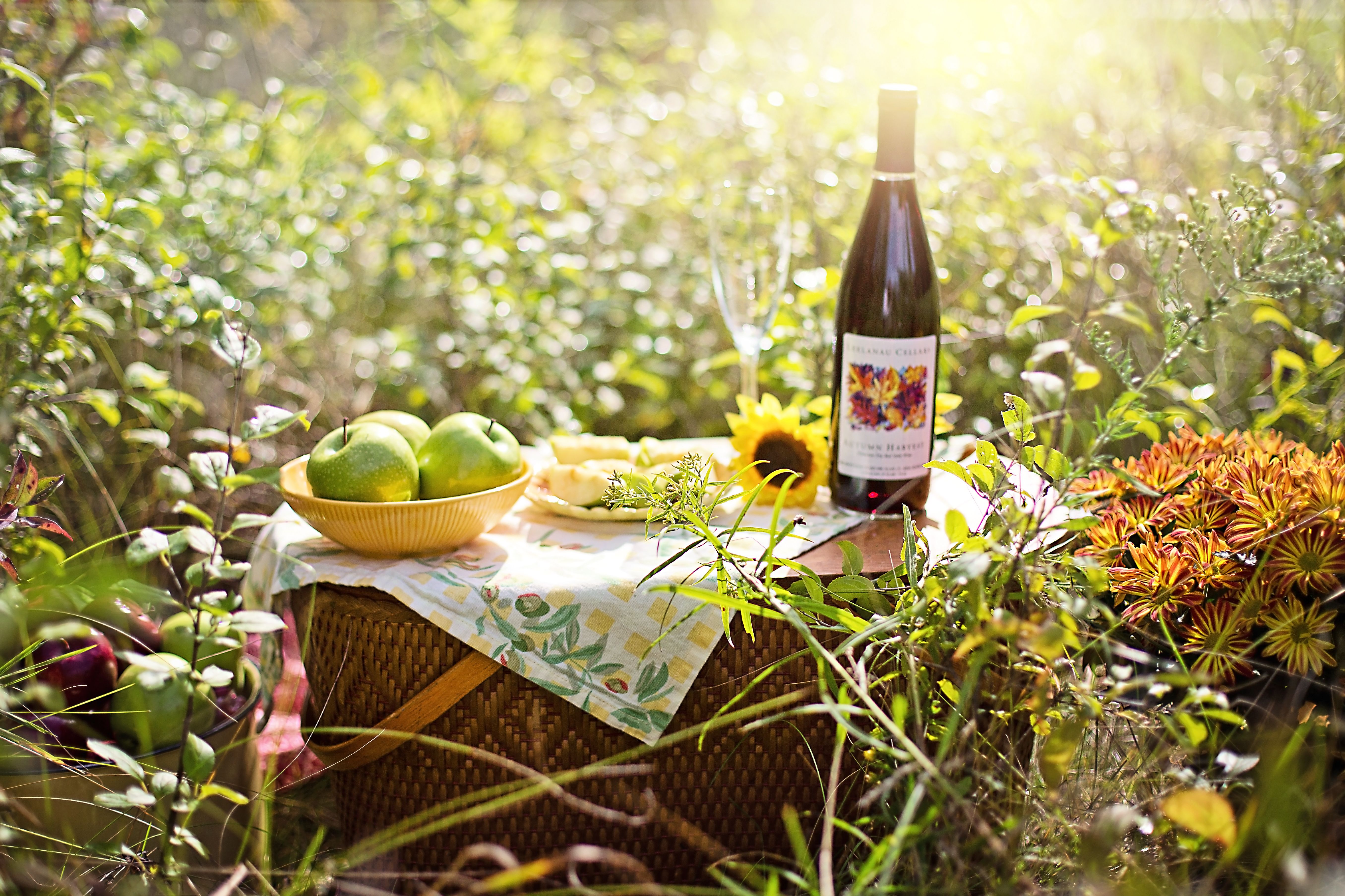 Picnic blanket spread among the vine rows with food, wine, and afternoon sun