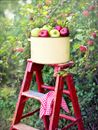 Green Apple Fruit on Red Metal Stand