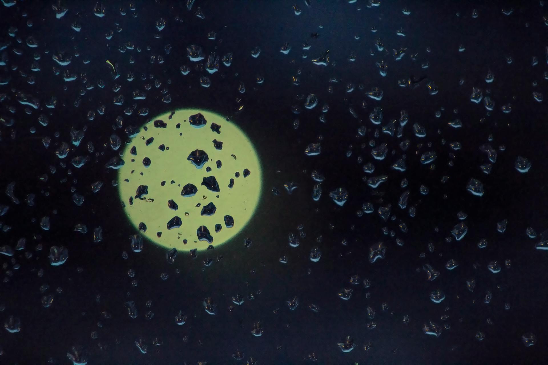Free stock photo of dark, full moon, rain drops