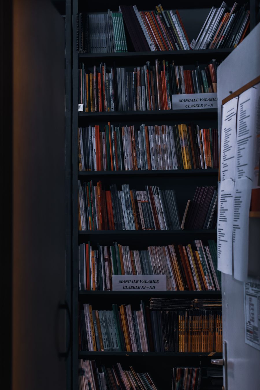 Rows of library shelving filled with books