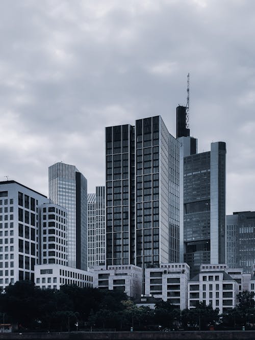 Black and white of various contemporary buildings and skyscrapers with glass facades located on modern city street against overcast sky