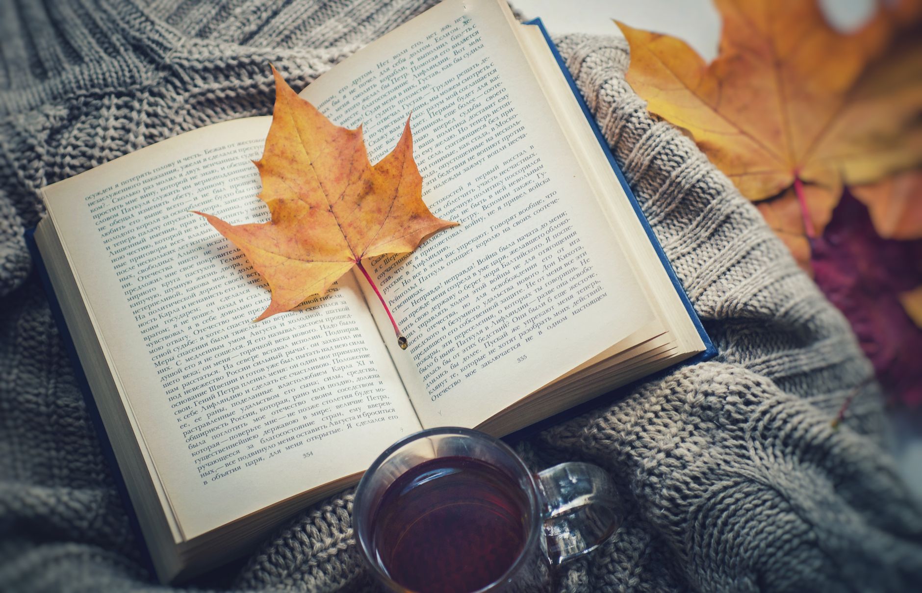 Осенний список чтения для всей семьи: лучшие книги на русском языке