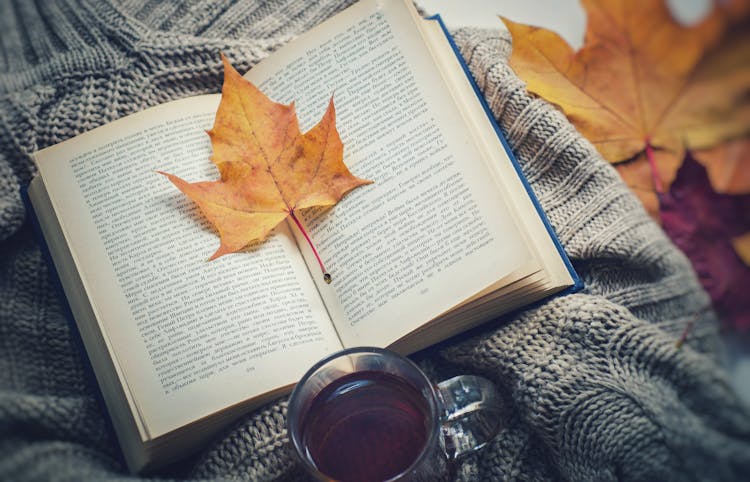 A Maple Leaf On An Opened Book