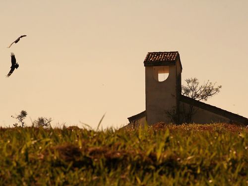Free stock photo of golden sun Stock Photo