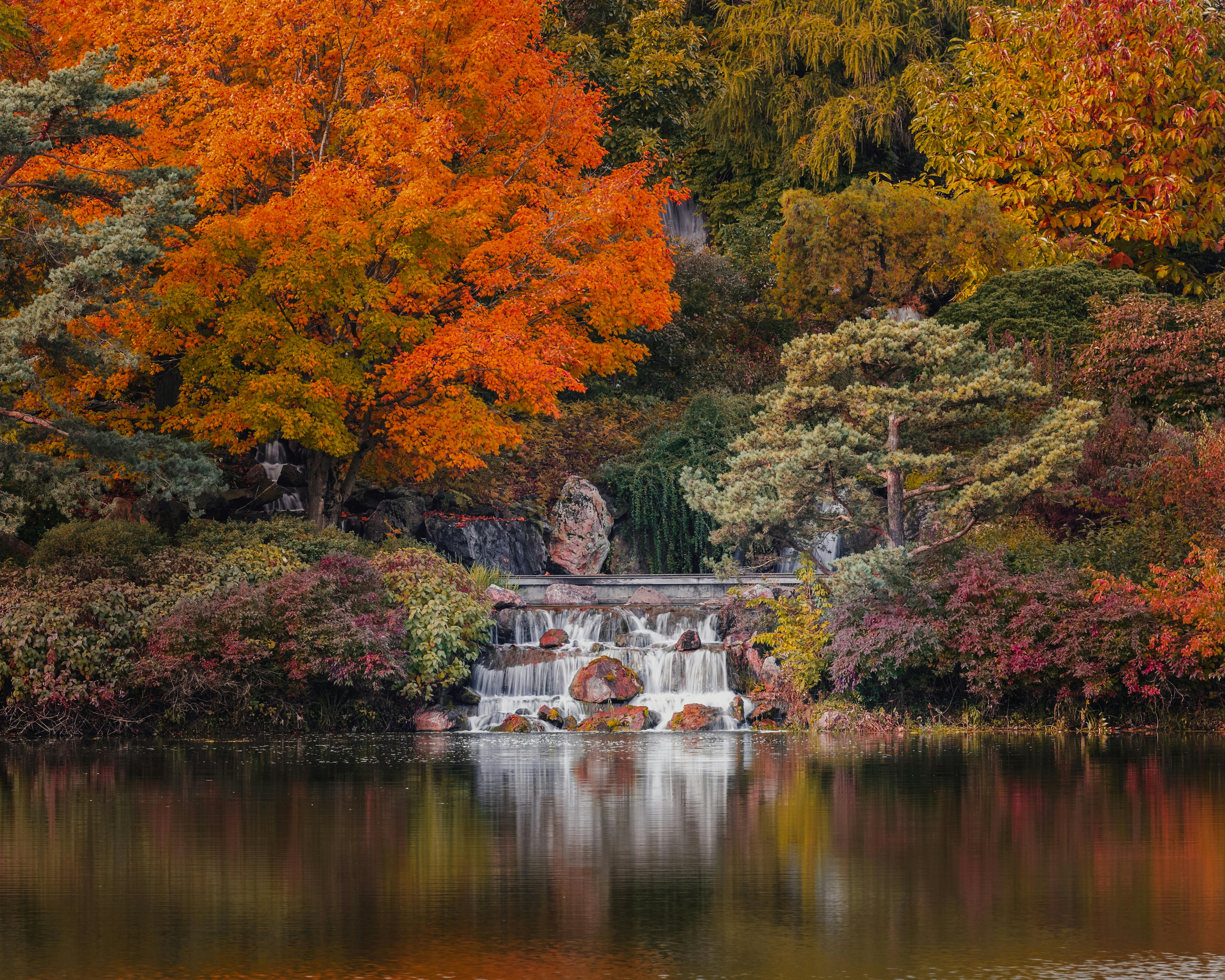 How fast does cancer grow in a prostate?