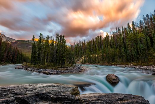 Green Trees Surrounded by Flowing  River