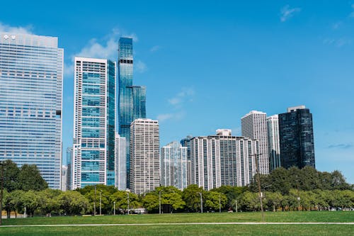 Exterior of modern glass skyscrapers built near lush city park under cloudless blue sky