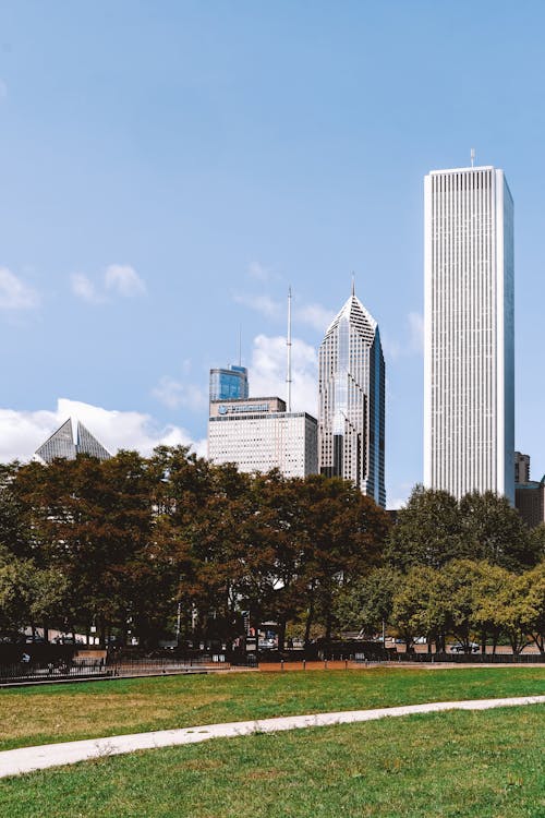 Scenery of lush green park located against contemporary megapolis complex beneath cloudless blue sky