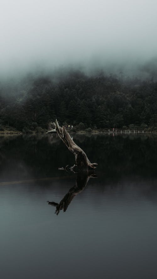 Fotos de stock gratuitas de al aire libre, con neblina, con niebla