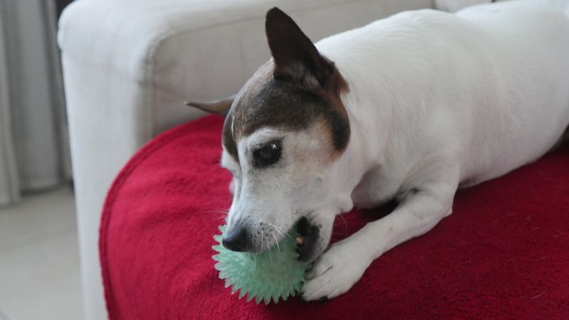 Person enjoying a relaxed retirement lifestyle