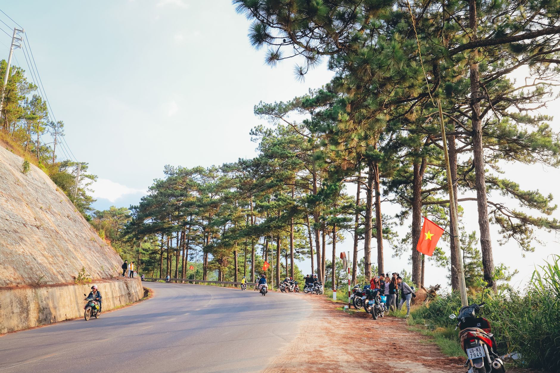 Motorcyclists on a winding road through a pine forest in Vietnam, with the national flag displayed.