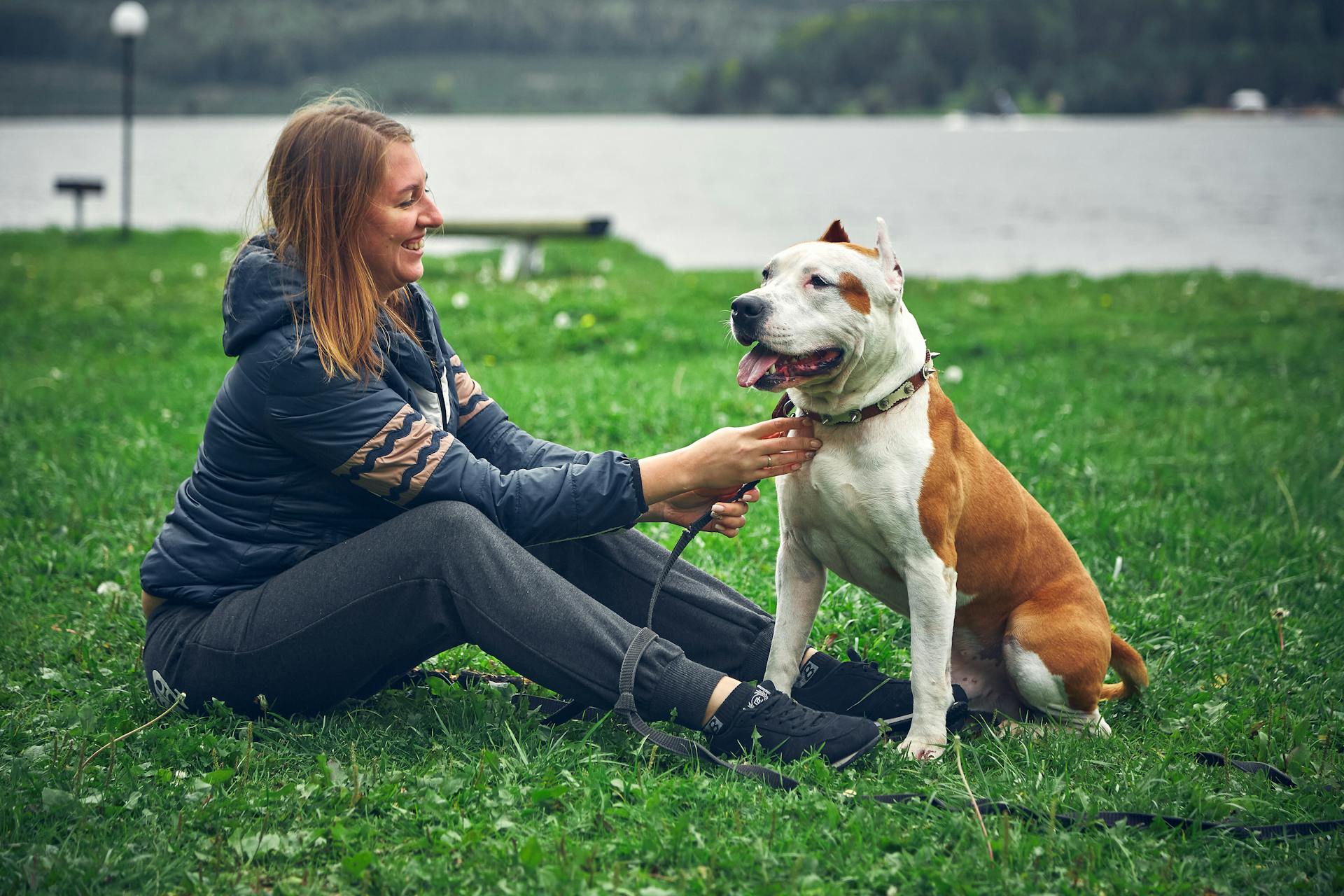 Foto av en kvinna som sitter på gräset med sin amerikanska Staffordshire Terrier