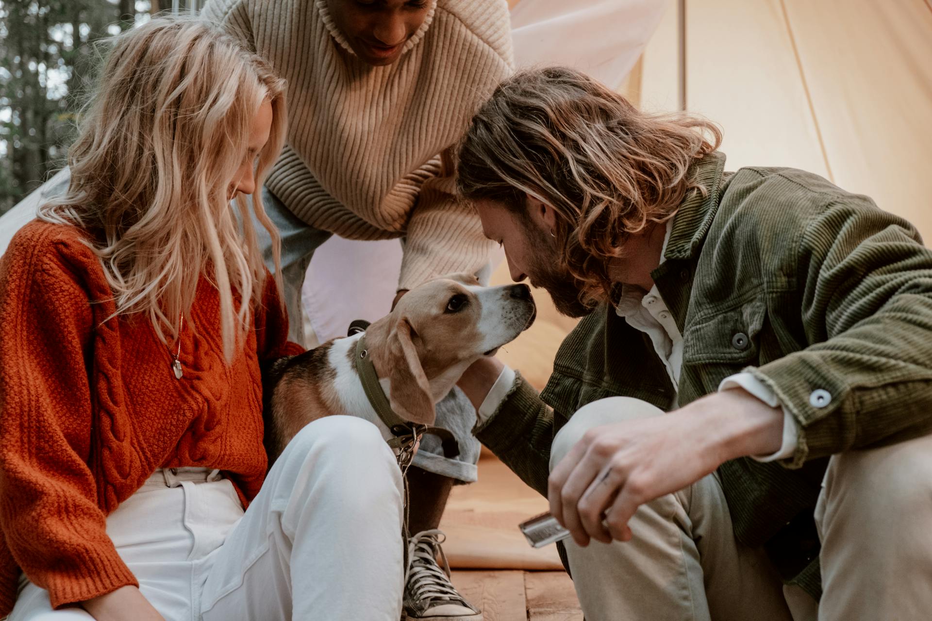 Group of Friends with a Dog Near a Tent