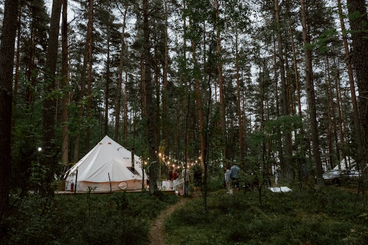 Photograph Of A Group Of Friends Camping In A Forest