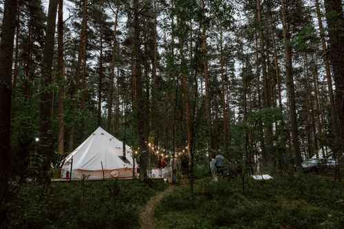 Free A group of friends camping in a forest with a tent and string lights, creating a cozy outdoor atmosphere. Stock Photo