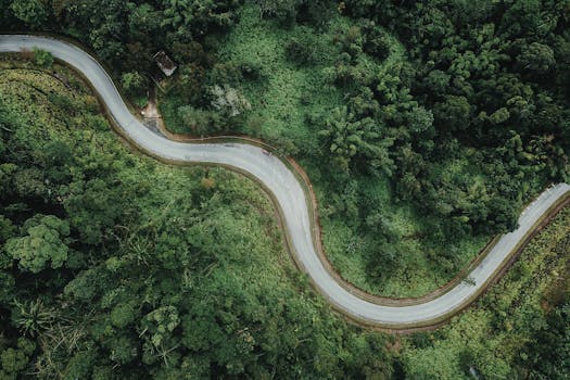 Explore the winding road through a tropical forest in Bentong, Pahang, Malaysia from above.