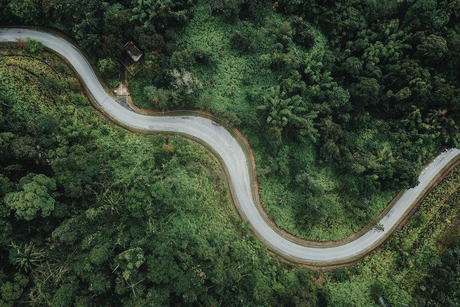 Drone view of empty asphalt roadway running through abundant green forest on sunny summer day