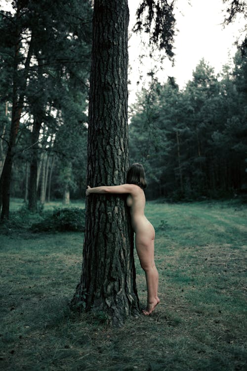 Free Full body of anonymous naked female standing on grassy ground near tree trunk under gray sky Stock Photo
