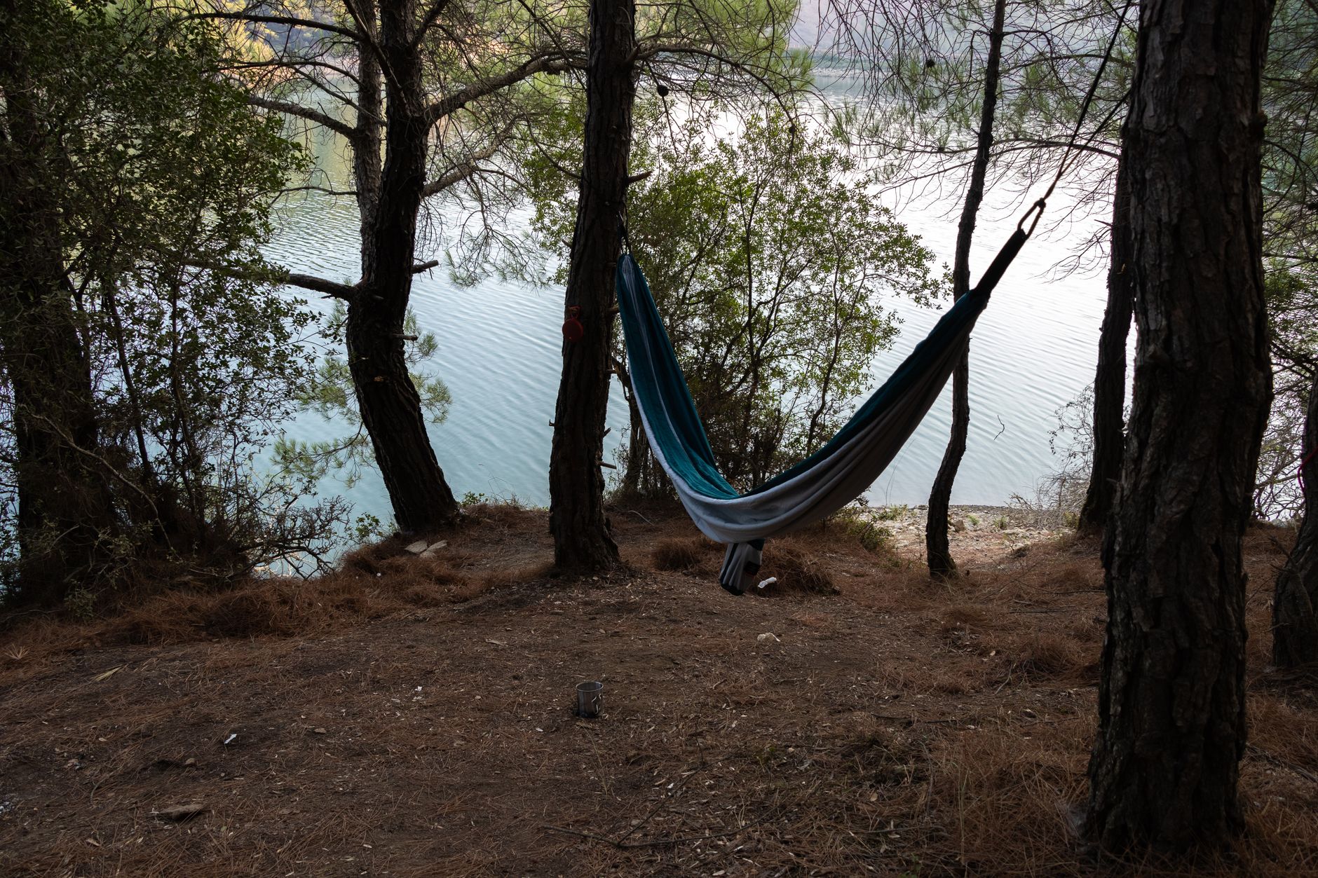 hammock camping forest trees