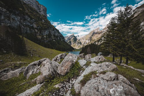 Mountains and River with Rock Formations in Meadow 