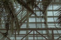 Low-Angle Shot of a Palm Tree inside a Building