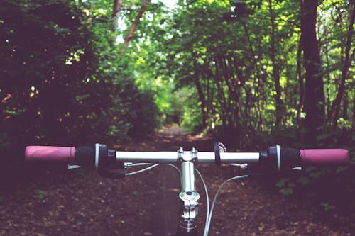 Silver and Pink Bike Handle Bar