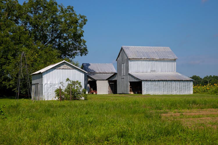 Barns In The Farm