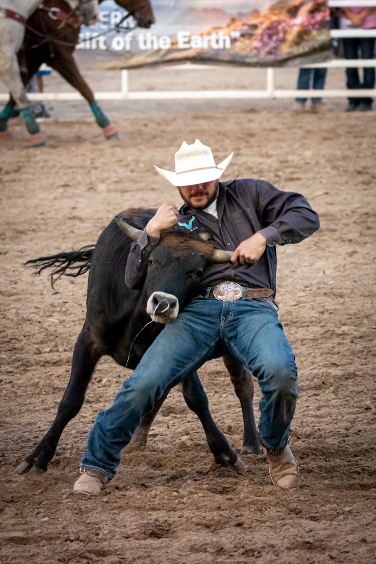 Man Holding Bull