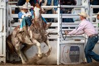 Men Competing in a Rodeo Event