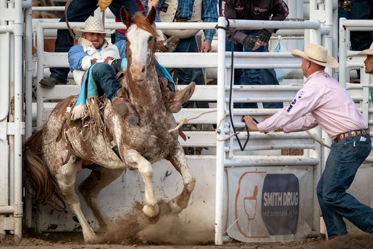 Men Competing In A Rodeo Event