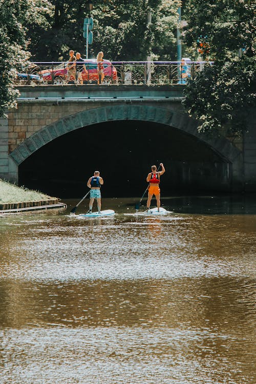 คลังภาพถ่ายฟรี ของ paddleboarding, การผ่อนคลาย, การแสวงหากิจกรรมกลางแจ้ง