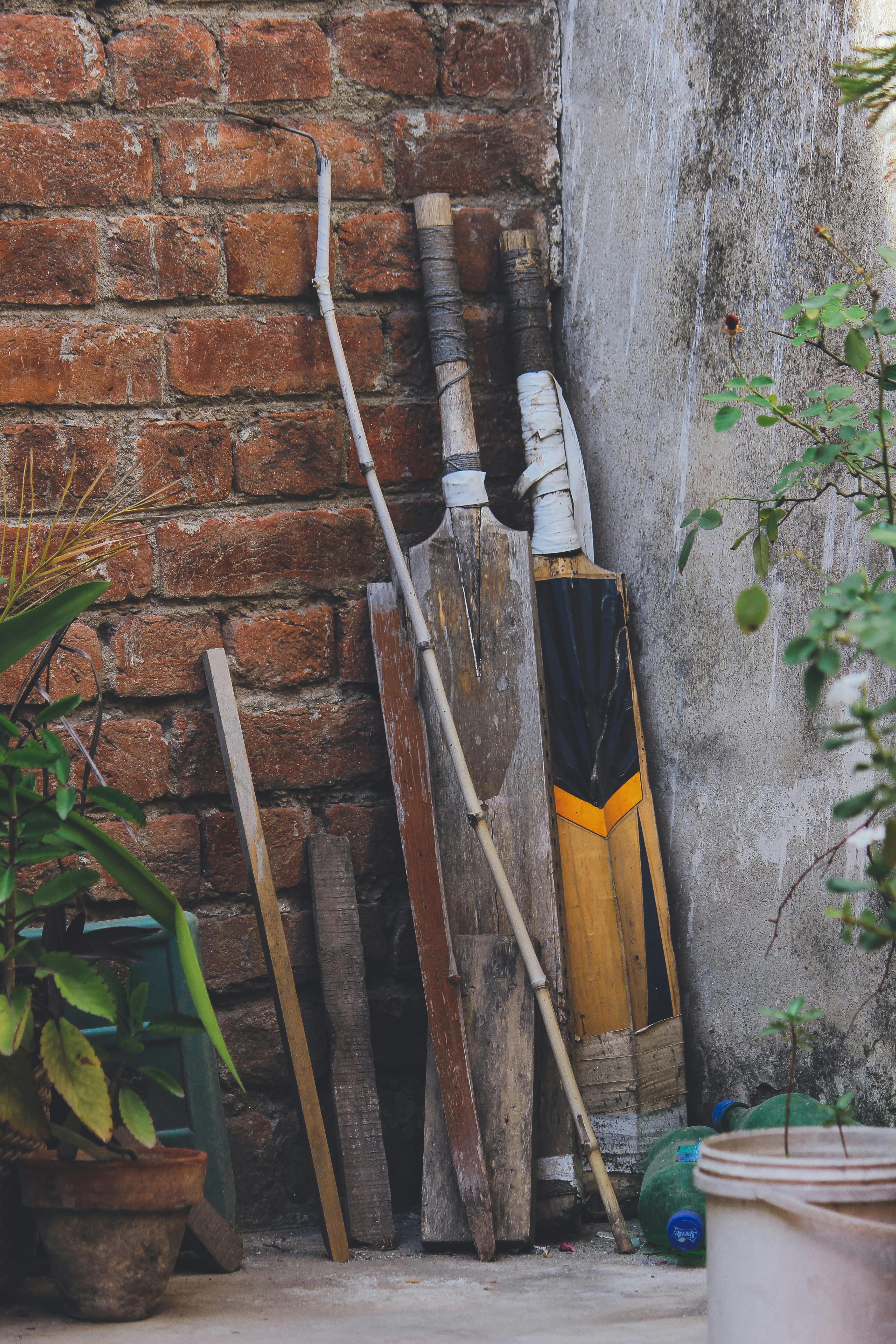 Free Cricket bats and garden tools leaning against a weathered brick wall, surrounded by plants. Stock Photo