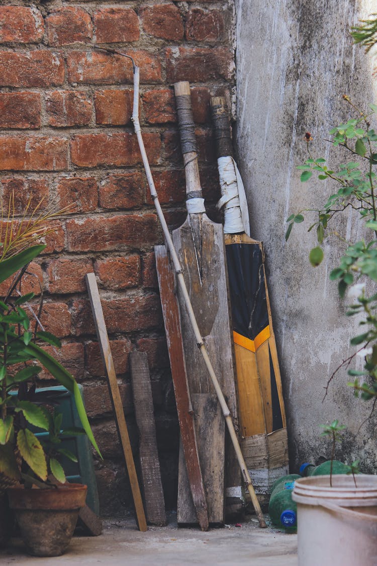 Cricket Bats On The Wall