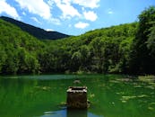 在晴朗的天空下，宁静的森林湖泊以山脉为背景，非常适合自然爱好者