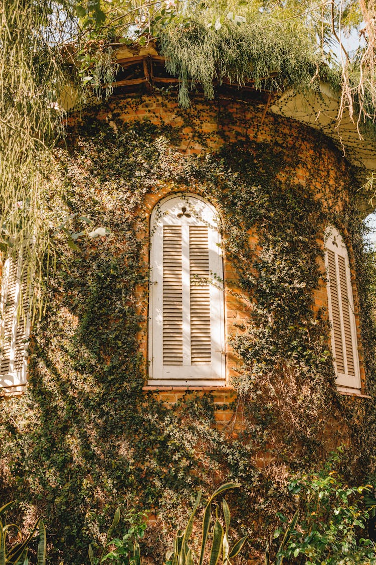 Vintage House With Old Closed Windows