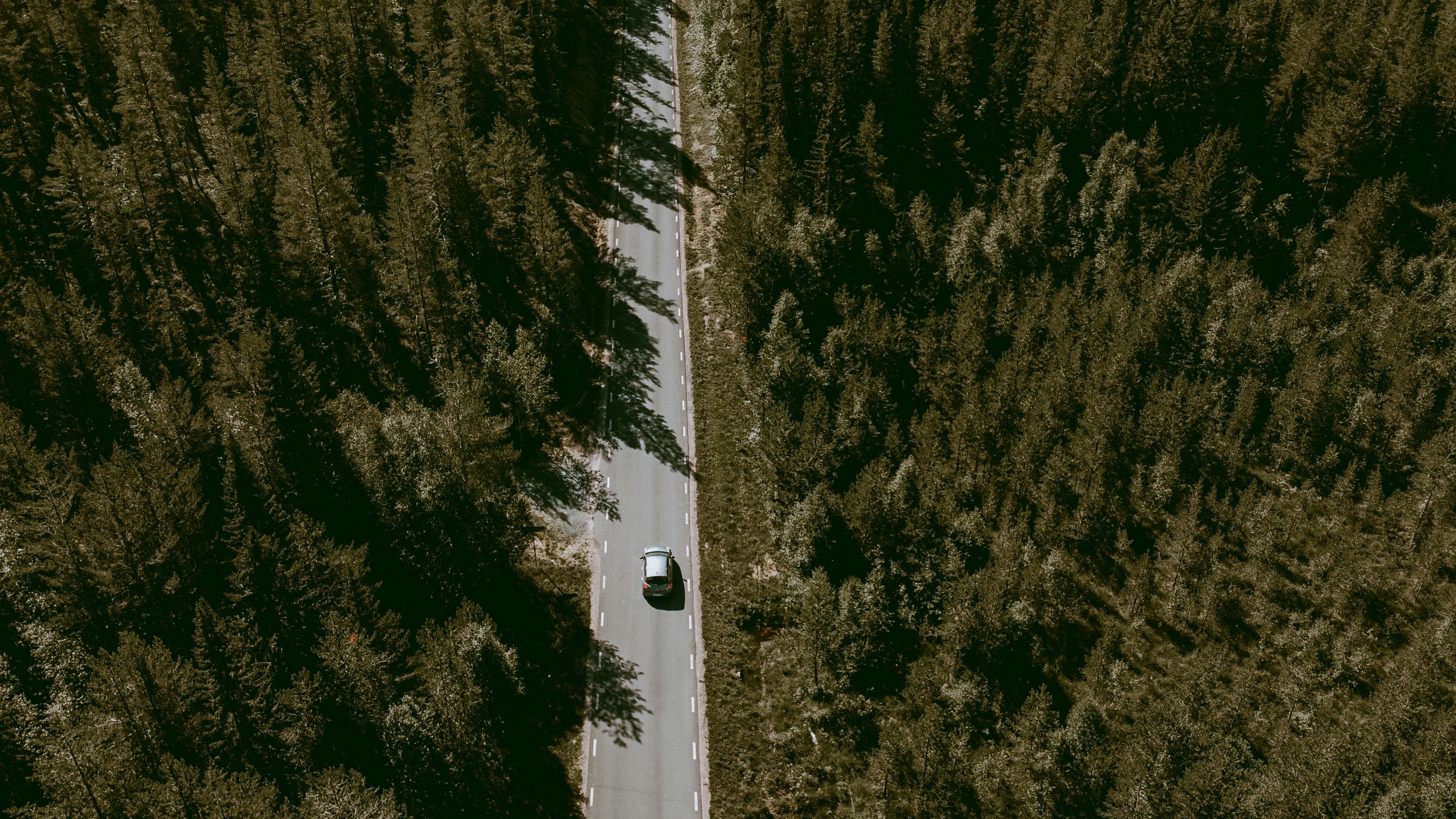 evs explained green transportation — Photo by Indra Kumar Howde Kari on Pexels