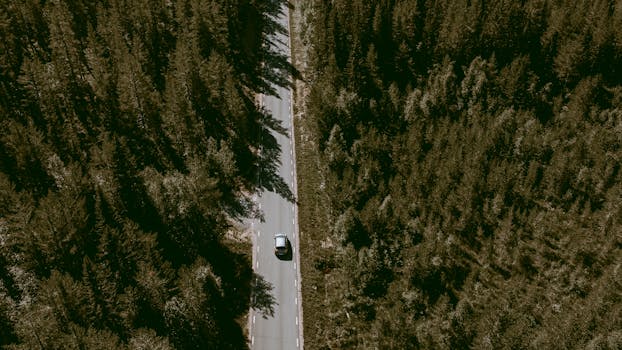 Aerial view of a car driving along a forest road in Sweden, surrounded by dense greenery.