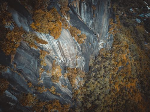 Free Stunning aerial view of a vibrant cliffside in Plaisance, Seychelles, showcasing unique rock formations and lush vegetation. Stock Photo