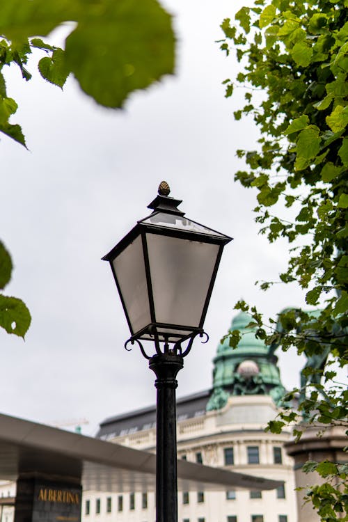 Kostnadsfri bild av gatlykta, ljuspost, vertikalt skott