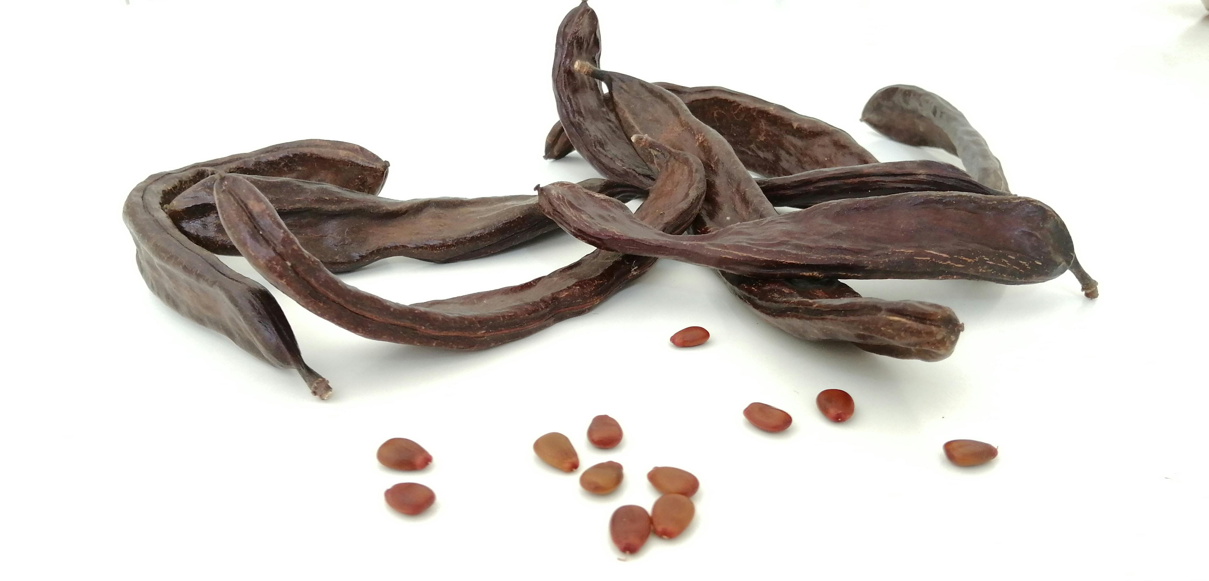 Free stock photo of ecology, fruit, seeds