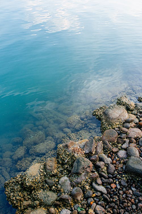 Fotos de stock gratuitas de afuera, agua, aguamarina