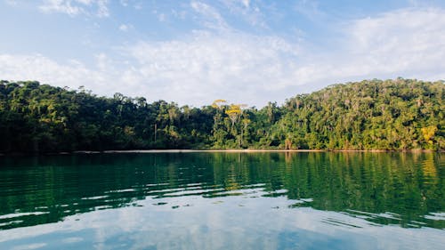 Fotos de stock gratuitas de afuera, agua, aguamarina