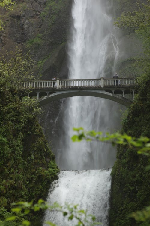 Photos gratuites de à couper le souffle, cascade, chutes multnomah